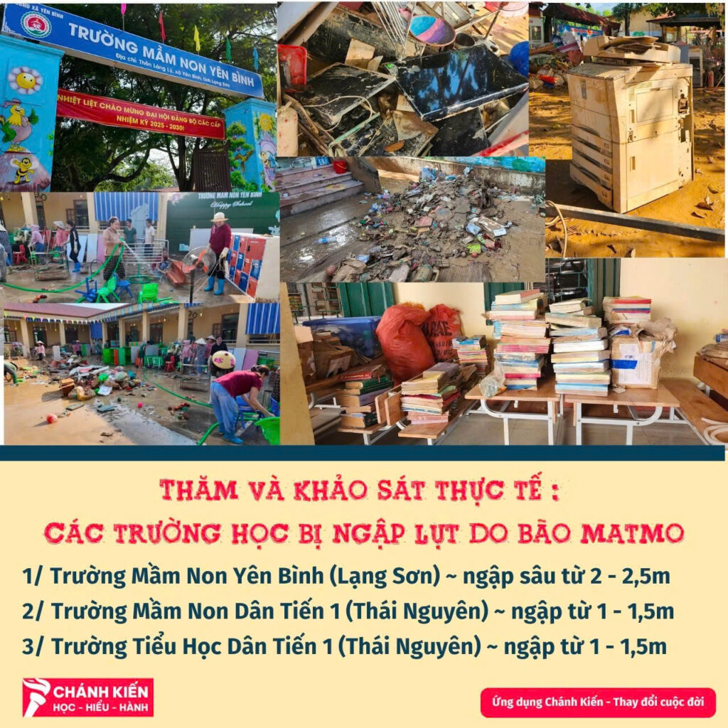 tai-thiet-sau-bao-matmo